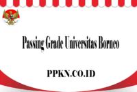 Passing Grade Universitas Borneo