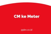CM ke Meter