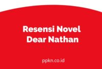 Resensi Novel Dear Nathan