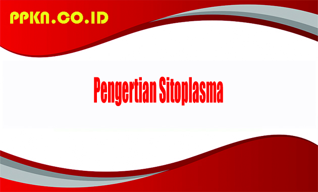 Pengertian Sitoplasma