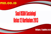 Soal USBN Sosiologi Kelas 12 Kurikulum 2013