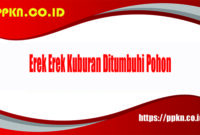 Erek Erek Kuburan Ditumbuhi Pohon