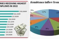 migrasi internasional dan remitan