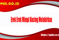 Erek Erek Mimpi Kucing Melahirkan