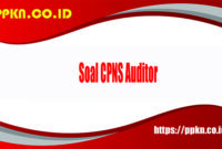Soal CPNS Auditor