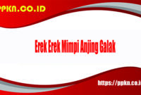 Erek Erek Mimpi Anjing Galak