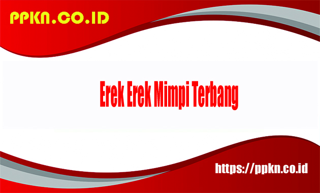 Erek Erek Mimpi Terbang
