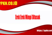 Erek Erek Mimpi Ditusuk Erek Erek Mimpi Ditusuk