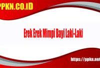 Erek Erek Mimpi Bayi Laki-Laki