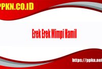 Erek Erek Mimpi Hamil