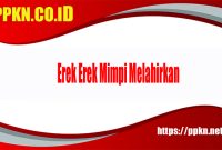 Erek Erek Mimpi Melahirkan