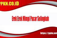 Erek Erek Mimpi Pacar Selingkuh
